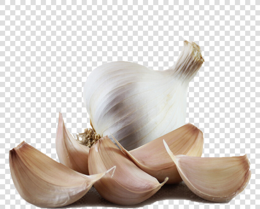 Garlic Png Hd Images   Solent Wight Garlic Cloves  Transparent PngTransparent PNG
