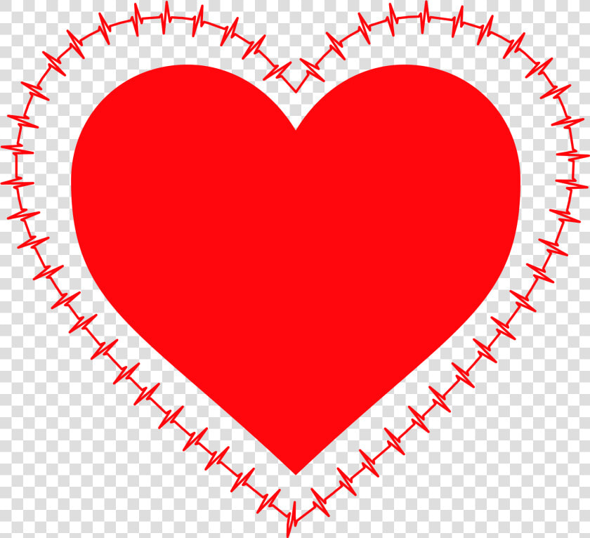 Electrocardiography  HD Png DownloadTransparent PNG
