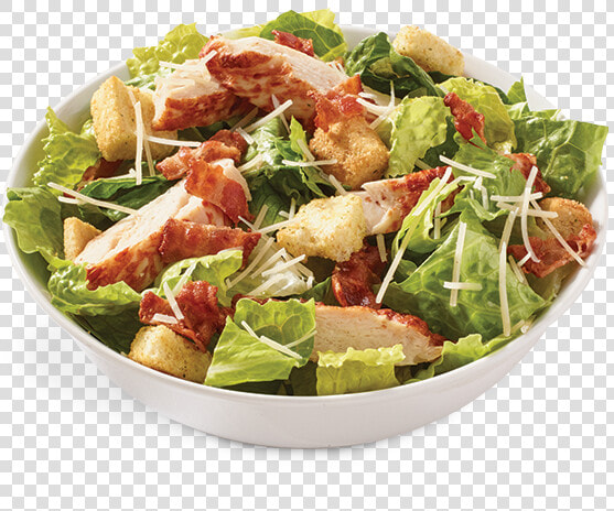 Caesar Salad Png   Chicken Caesar Salad Png  Transparent PngTransparent PNG