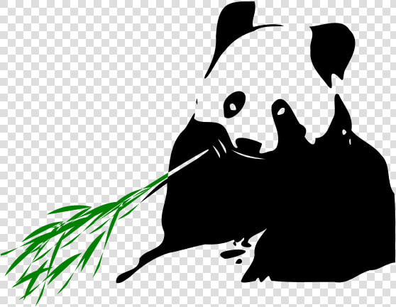 Panda Bear   Panda Eating Bamboo Transparent  HD Png DownloadTransparent PNG