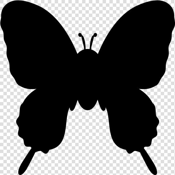 Butterfly Silhouette Clip Art   Silhouette Of A Butterfly  HD Png DownloadTransparent PNG
