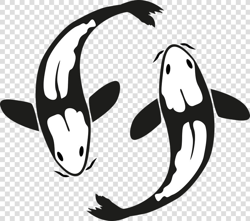 Koi  Fish  Pond  Japan  Animal  Carp   Cartoon  HD Png DownloadTransparent PNG