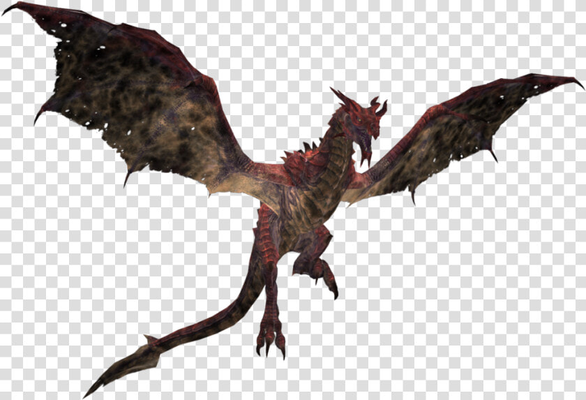 Dragon Png   Dragon Skyrim Png  Transparent PngTransparent PNG