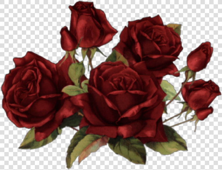  flores  flowers  rosas  roses  art  arte  painting   Rosas Stickers  HD Png DownloadTransparent PNG
