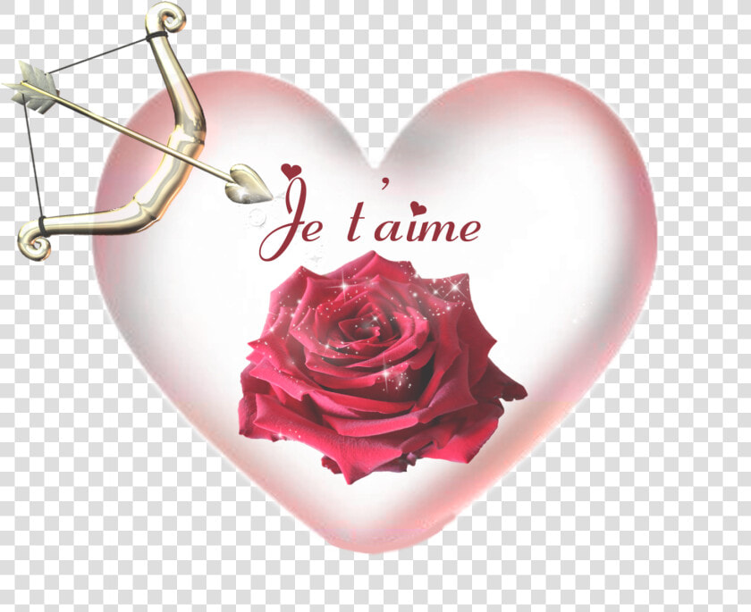 Mes Montages   Garden Roses  HD Png DownloadTransparent PNG