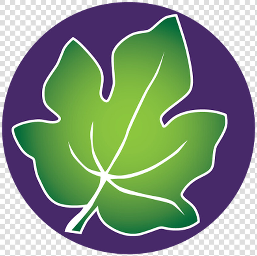 Fig Leaf Png  Transparent PngTransparent PNG