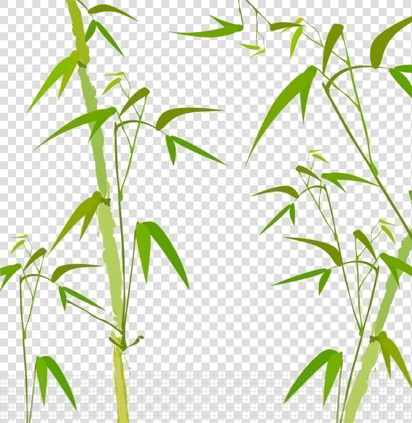 Bamboo Watercolor Painting Poster   Bamboo Trees Watercolor Png  Transparent PngTransparent PNG