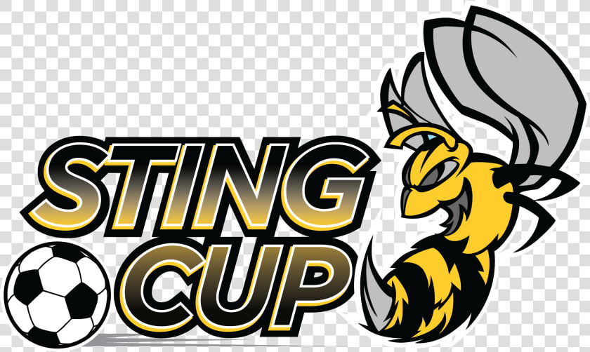 Sting Cup  HD Png DownloadTransparent PNG