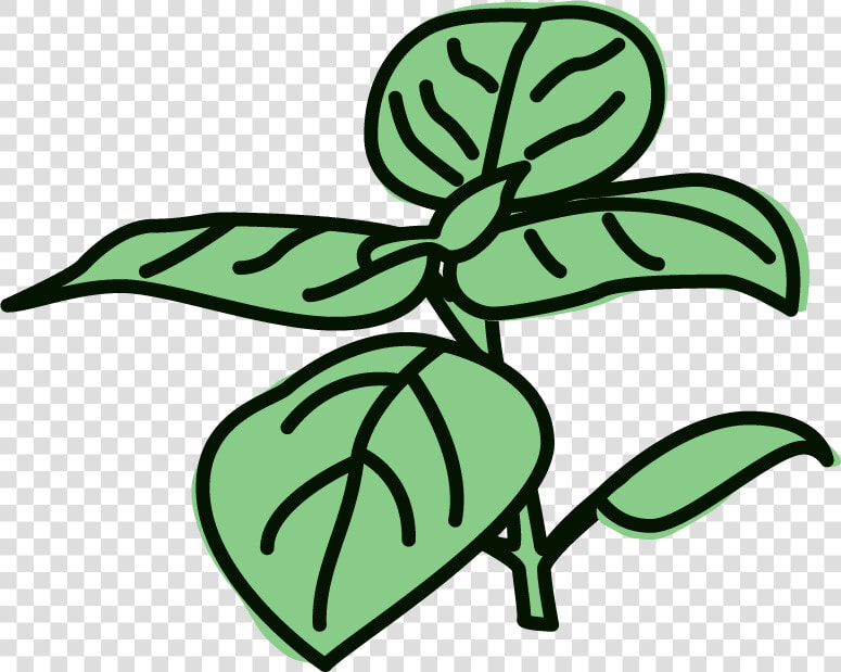 Lemon Basil Sorbet Clipart   Png Download   Clipart Basil  Transparent PngTransparent PNG