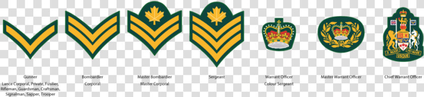 Cadet Ncm Ranks  HD Png DownloadTransparent PNG