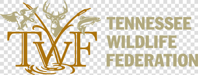Tennessee Wildlife Federation  HD Png DownloadTransparent PNG