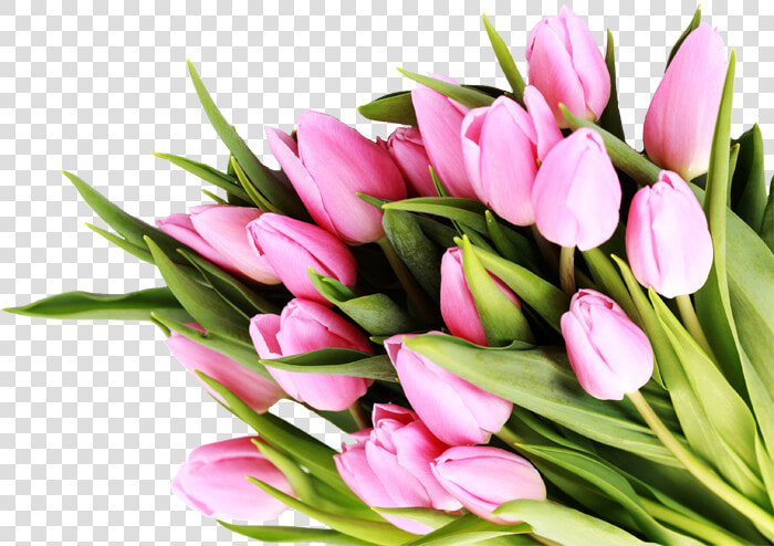 Congratulation Quotes For New Business  HD Png DownloadTransparent PNG