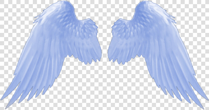  angel  wings  blue  bluewings  angelwings   Angel Wings Gif Transparent  HD Png DownloadTransparent PNG