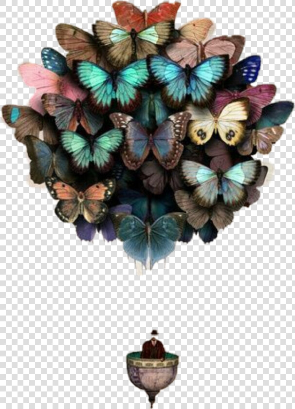 Butterflies Hotairballoon Freetoedit   Butterfly Balloons Art  HD Png DownloadTransparent PNG