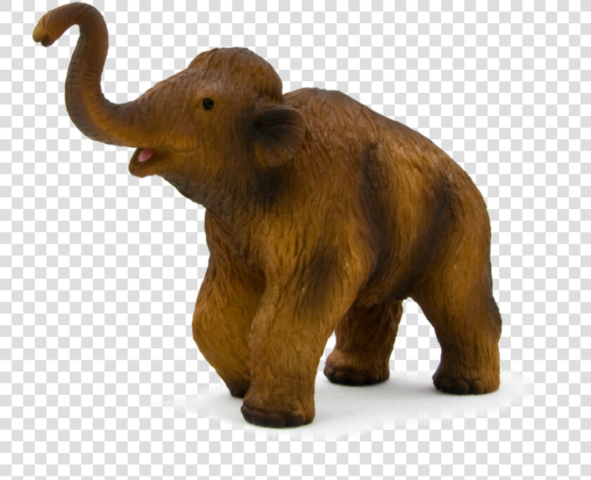 387050 Wooly Mammoth Calf  HD Png DownloadTransparent PNG