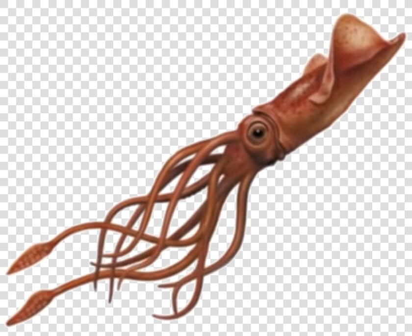 Transparent Giant Squid Clipart   Squid Png  Png DownloadTransparent PNG
