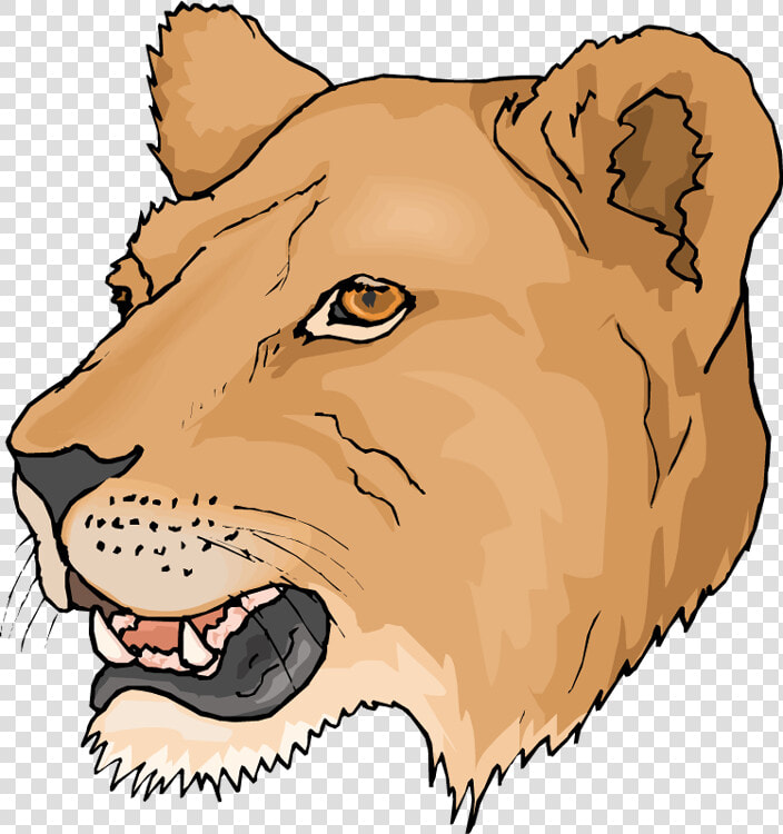Free Head Lioness Clipart   Lioness Clipart  HD Png DownloadTransparent PNG