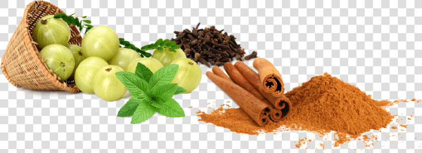 Download Ayurveda Png Hd   Ayur Care Llc Wellness Centre  Transparent PngTransparent PNG