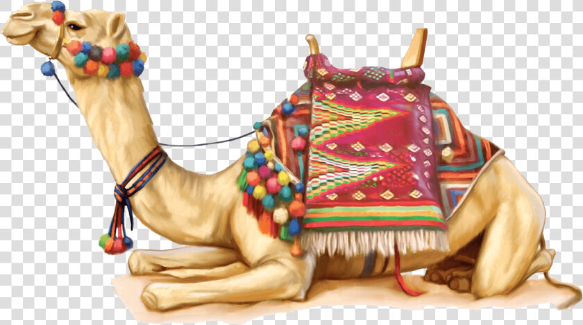 Camel Illustration   Rajasthani Camel Png  Transparent PngTransparent PNG