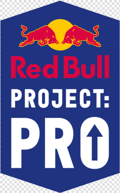 Project Pro   Red Bull Project Pro  HD Png DownloadTransparent PNG