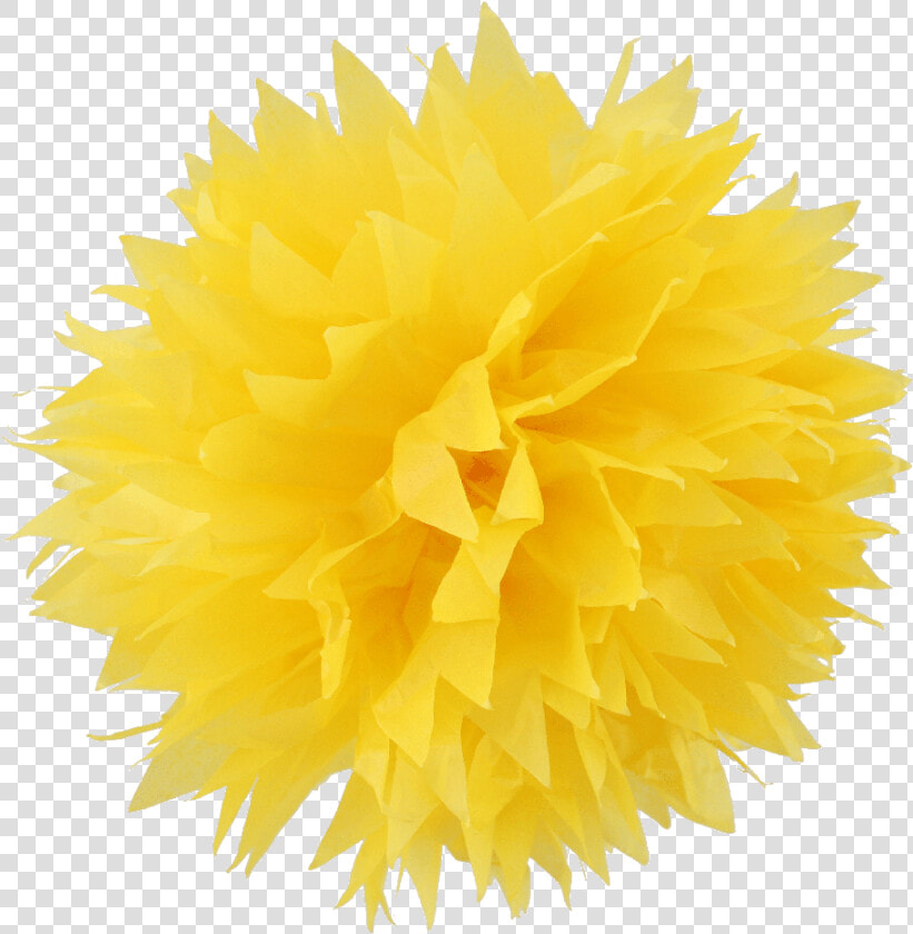 Transparent Pom Poms Png   Yellow Pom Pom Png  Png DownloadTransparent PNG
