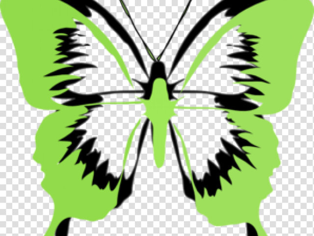 Rainbow Butterfly Clipart Green Butterfly   Avm Awareness Month 2019  HD Png DownloadTransparent PNG