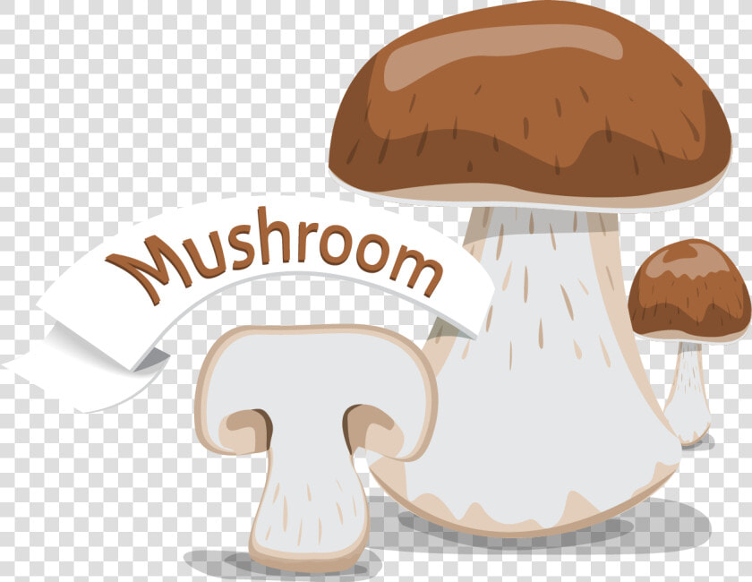 Shiitake  HD Png DownloadTransparent PNG