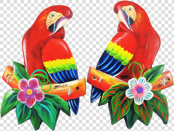 Key Holder Scarlet Macaw S   Vẽ Vẹt Đỏ Đuôi Dài  HD Png DownloadTransparent PNG