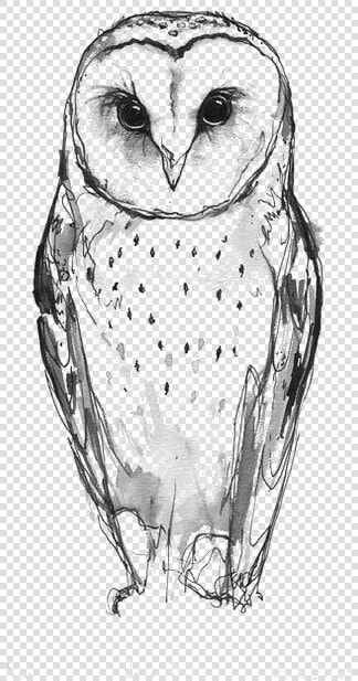 Idea Owl Drawing Tattoo Barn Download Free Image Clipart   Snow Owl Tattoo Design  HD Png DownloadTransparent PNG
