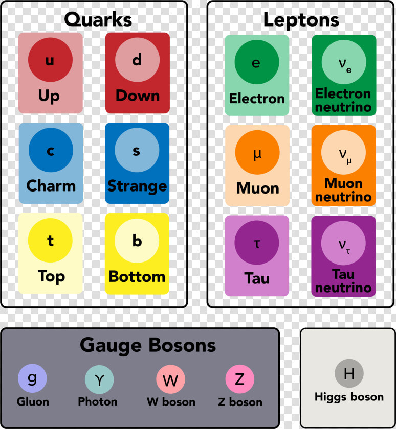 Fundamental Particles  HD Png DownloadTransparent PNG