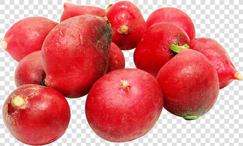 Garcinia Indica  HD Png DownloadTransparent PNG