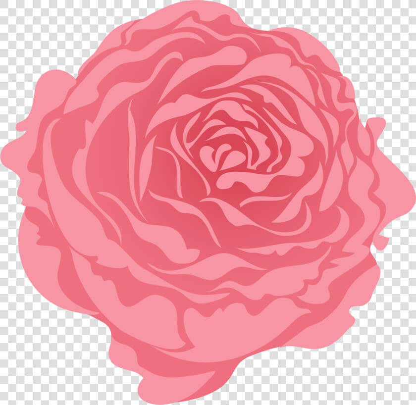 Persian Buttercup  HD Png DownloadTransparent PNG