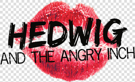 Hedwig Png  Transparent PngTransparent PNG
