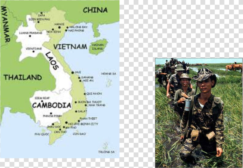 Picture   Asian Tiger Stripe Vs Tiger Stripe  HD Png DownloadTransparent PNG