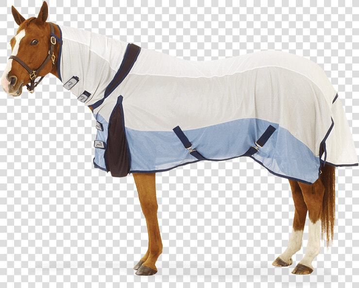 Pessoa Coolwave Fly Sheet   Pessoa Coolwave Combo Fly Sheet  HD Png DownloadTransparent PNG