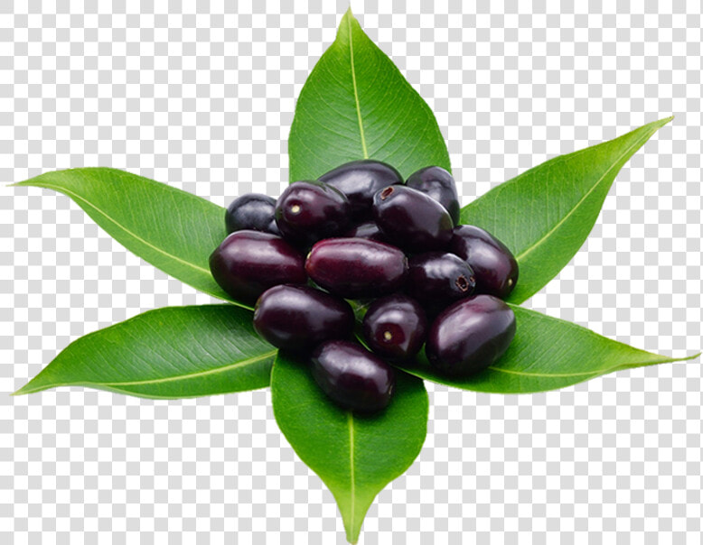 Huckleberry  HD Png DownloadTransparent PNG