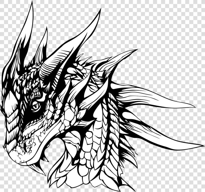 Lime Drawing Pencil For Free Download   Pencil Sketch Dragon  HD Png DownloadTransparent PNG