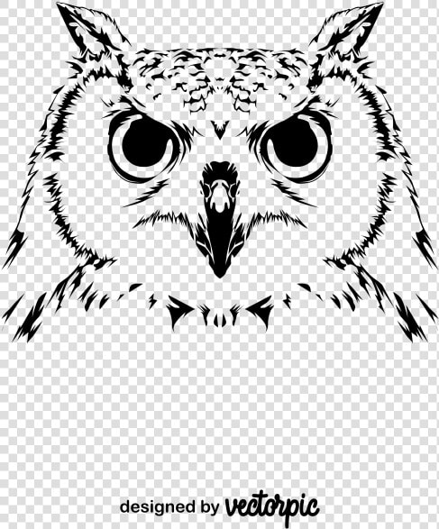 Great Horned Owl  HD Png DownloadTransparent PNG