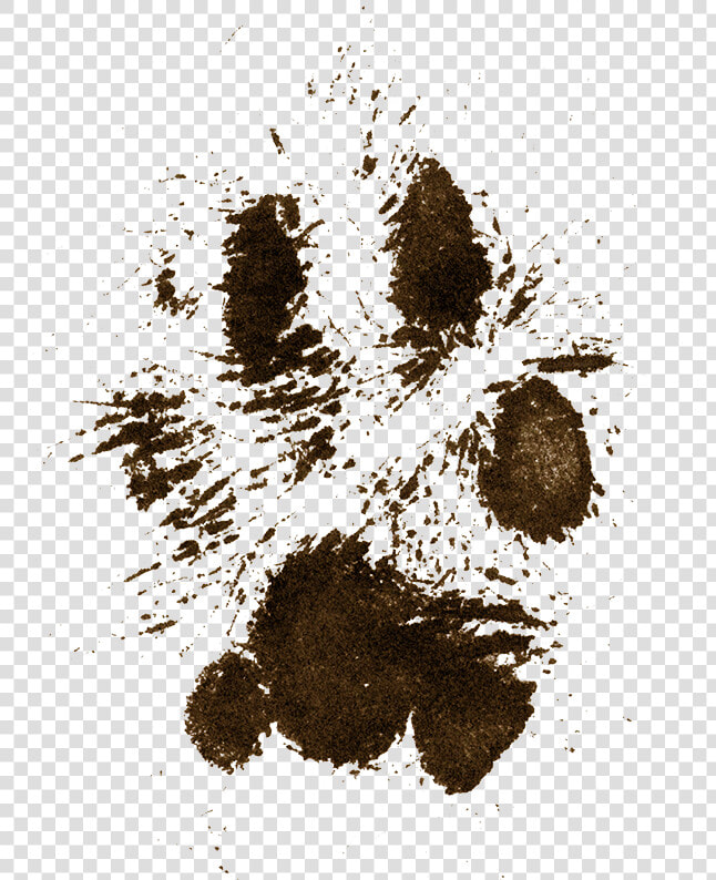 Dog Mud Pawprint   Miss My Dog  HD Png DownloadTransparent PNG