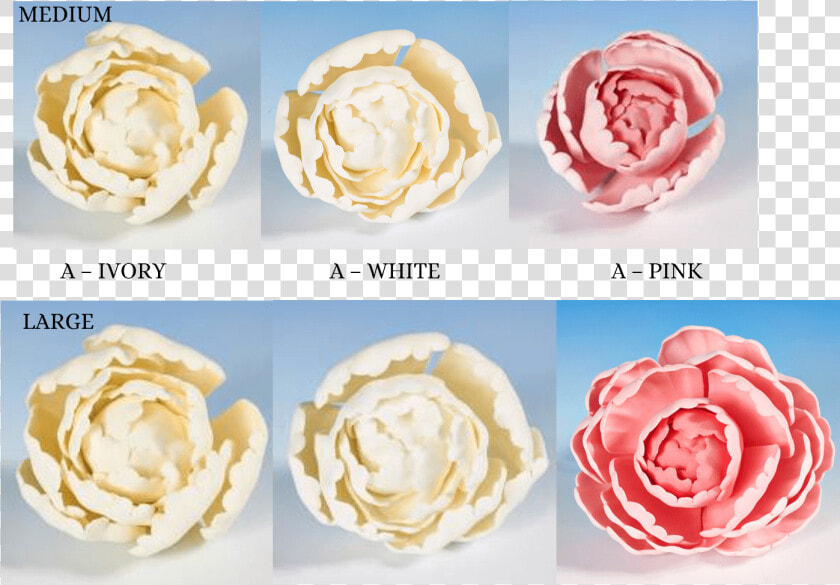 Peony Heads Flower Icing Cake Decorations   Garden Rose Icing Flower  HD Png DownloadTransparent PNG
