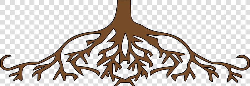 Transparent Tree Roots Clipart   Roots Clipart  HD Png DownloadTransparent PNG