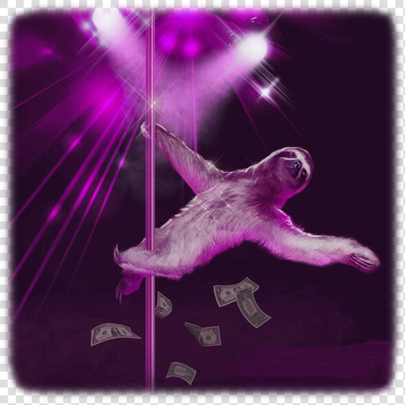 Sloth Stripping   Stripper Sloth  HD Png DownloadTransparent PNG