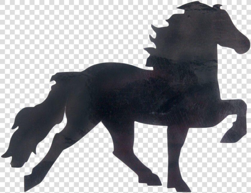 Icelandic Horse Sticker Icelandic Horse Sticker   Icelandic Horse Silhouette Png  Transparent PngTransparent PNG