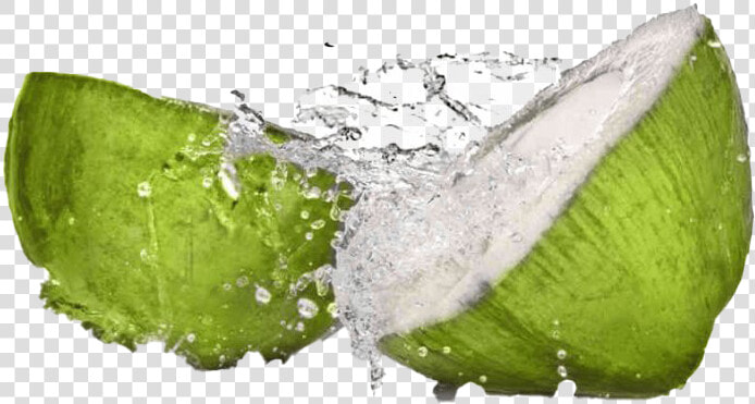 Coconut Water Splash Png Photo   Coconut Water With Ice  Transparent PngTransparent PNG