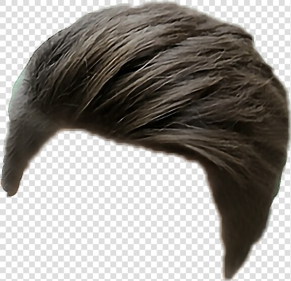  hair  manhair  menhairstyle  manhair  man  men   Men Hairstyle For Picsart  HD Png DownloadTransparent PNG