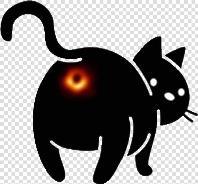  cat  kitty  feline  sihlouette  black  blackhole  funny   Black Hole Cat Meme  HD Png DownloadTransparent PNG
