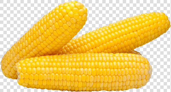 Corn Png Clipart Background   Maize  Transparent PngTransparent PNG
