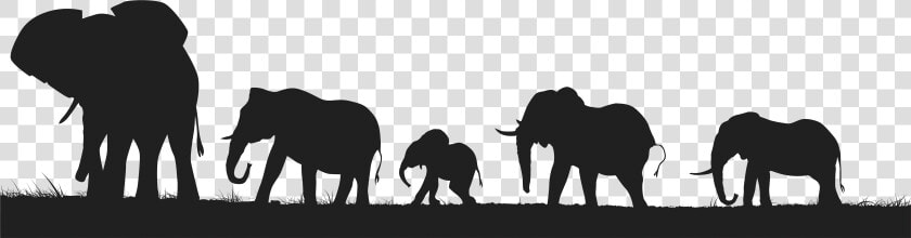 Elephants Silhouette Png Clip Art Image   Elephants Silhouette Clipart  Transparent PngTransparent PNG