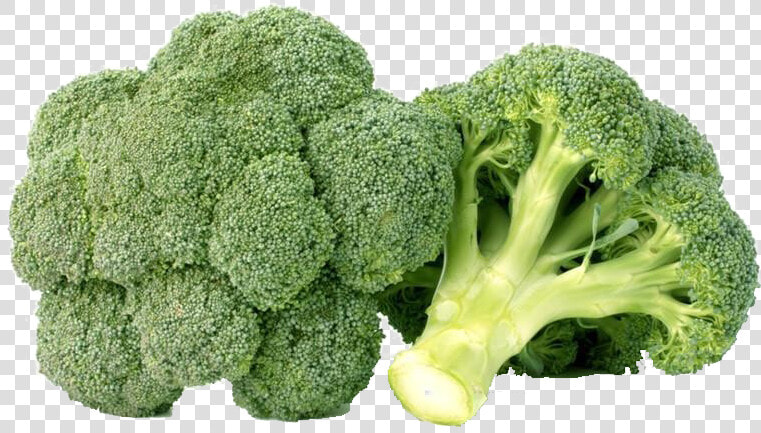 Green Broccoli Png Free Background   Broccoli Png  Transparent PngTransparent PNG