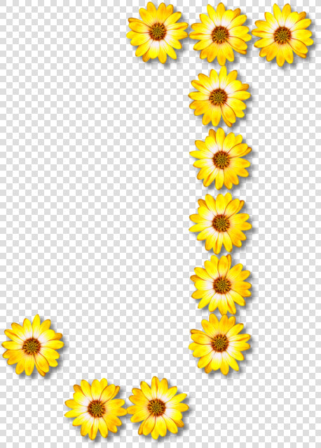 Sunflower Seed plant flower   Flower Alphabet Png  Transparent PngTransparent PNG